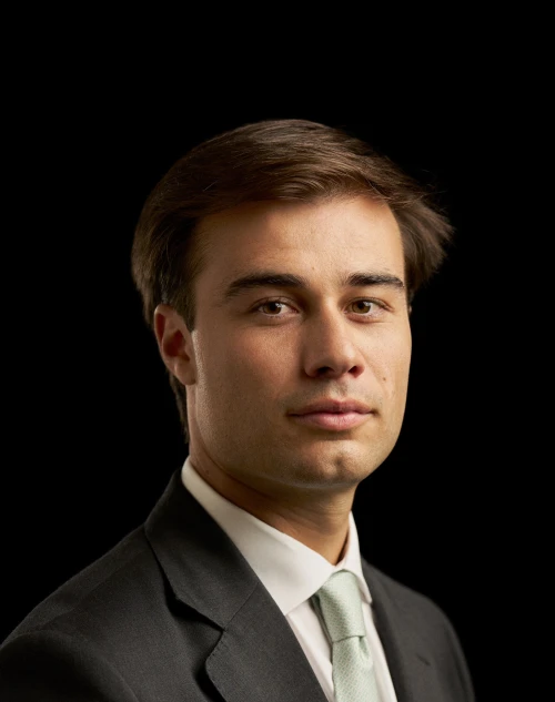 Gon&ccedil;alo Avelar Henriques