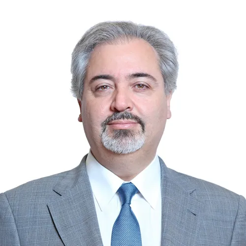 Moçambique, uma parceria sem distância. Entrevista a José Luís Moreira da Silva