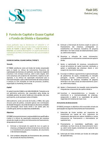 Flash | Criação do Fundo de Capital e Quase Capital e do Fundo de Dívida e Garantias