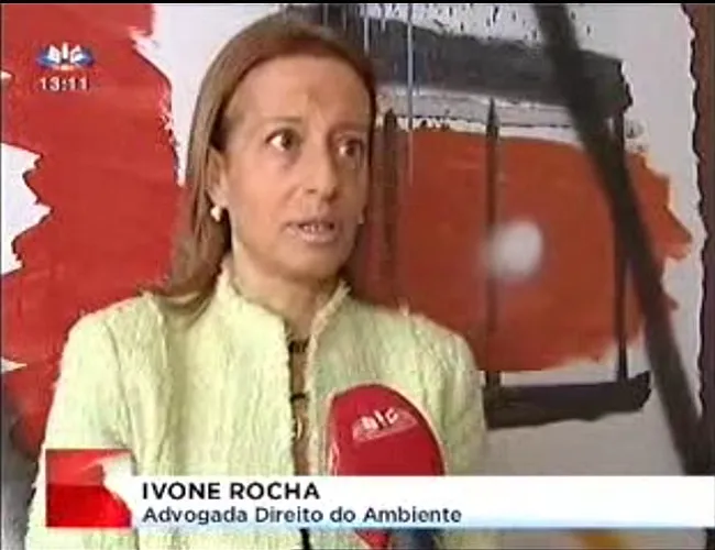 Ivone Rocha - Jornal das 2 - Especialistas defendem que deve existir uma maior fiscalização nas empresas